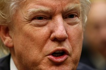 Tong thong Trump va loi hua cong khai ho so thue hinh anh