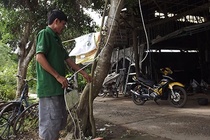 Trói kẻ trộm bị khởi tố