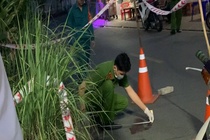 Nguyen nhan vu an mang o TP Thu Duc hinh anh