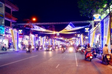 Da Nang - Tam Ky - Can Tho lung linh pho dem don Tet hinh anh