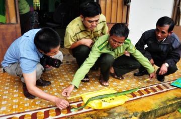 Ran luc duoi do trong tu thuoc can nu duoc si nhap vien hinh anh