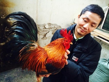 Bo chuc giam doc ve cuu nguy dan ga co thuan Viet hinh anh