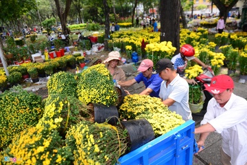 Hanh dong dap nat hoa chieu 30 Tet la su han hoc 'khong an thi dap do' hinh anh