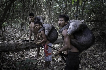 Bo toc ky la o Amazon nhan dong vat hoang da lam con hinh anh