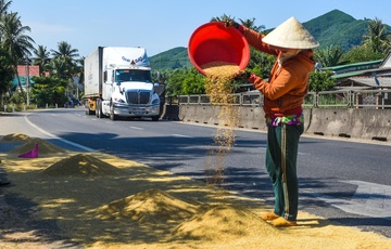 Dan phoi lua tran lan tren quoc lo 1 hinh anh