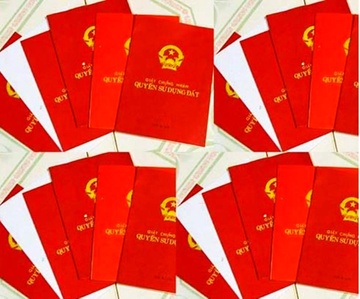 Gan 400 so do bi cap nham suot 16 nam o Quang Ngai hinh anh