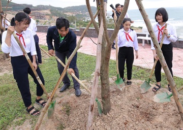 Trong 110.000 cay xanh ung pho bien doi khi hau o Binh Dinh hinh anh