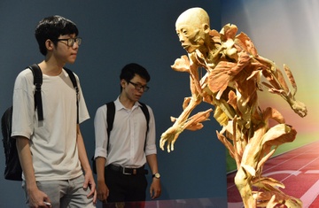 Co gi trong trien lam co the nguoi gay tranh cai o Sai Gon? hinh anh