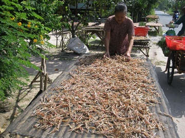 Ve mien Tay lai rai voi kho 'vu nu chan dai' hinh anh