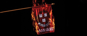 Ivy League: Thanh tri cua dac quyen va gia doi? hinh anh