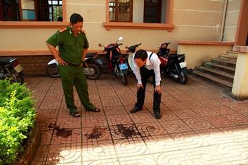 Du luan trai chieu ve cai chet cua TTGT nhay lau hinh anh