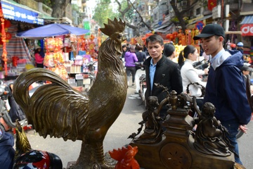 Cap ga dong gia co duoc rao ban gia 35 trieu dong hinh anh