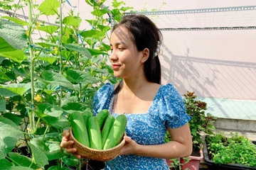 Dan TP.HCM tan dung ban cong, san thuong de trong rau hinh anh