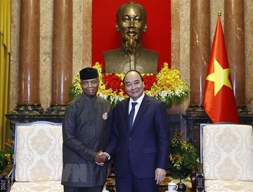 Viet Nam coi Nigeria la mot trong nhung doi tac uu tien tai chau Phi hinh anh