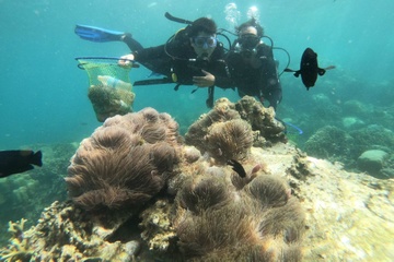 Mat mat lon cua vinh Nha Trang hinh anh
