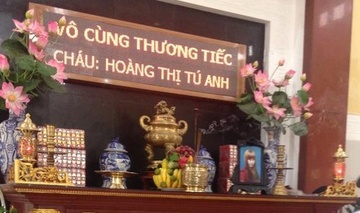 Nhung vu 9X tu tu vi tinh gay chan dong du luan hinh anh