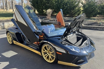 Lamborghini Aventador ban gioi han duoc dau gia hinh anh