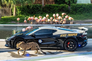 Cảnh sát tuần tra Florida 'khoe' dàn xe hiệu năng cao