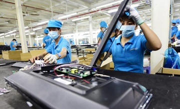 Hai quan sap diem mat cac vu gian lan xuat xu ‘made in Vietnam’ hinh anh
