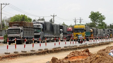 TP. HCM xu phat gan 1.000 xe qua tai hinh anh