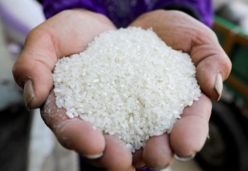 Xung đột Ấn Độ - Pakistan đe dọa nguồn cung gạo