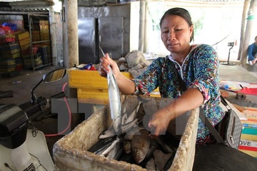 Tin ca nuc nhiem chat cuc doc Phenol khien ngu dan dieu dung hinh anh