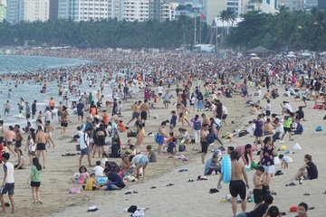 Xuất hiện sứa lửa nguy hiểm ở biển Nha Trang