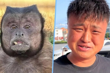 Người đàn ông muốn 'tâm sự' với khỉ mặt vuông gây sốt ở Trung Quốc