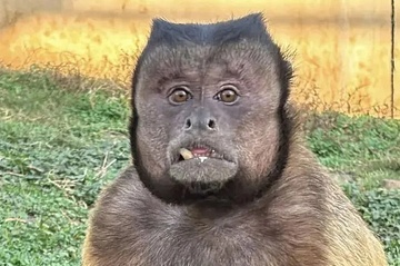 Khi mat vuong noi tieng Trung Quoc da qua doi hinh anh