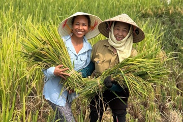 Dan khach Tay don con tan hoc, tham ba de, xem nghia trang hinh anh