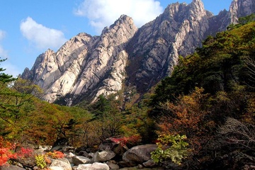 'Dau dau' bao ton di san chung Trieu Tien - Han Quoc hinh anh