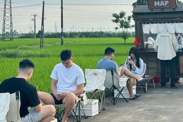 Tai sao ru nhau ra ruong uong ca phe? hinh anh