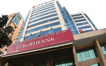 Chinh phu de xuat tang them 17.100 ty dong von cho Agribank hinh anh