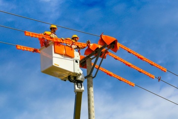 De xuat tam su dung rung de thi cong duong day 500 kV hinh anh