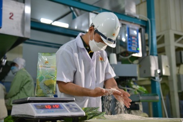 Loc Troi con no gan 160 ty dong tien lua cua nong dan hinh anh