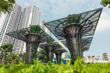 TNR Holdings giam manh loi nhuan, no phai tra tang gap ruoi hinh anh