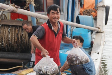 Tau thuyen ve cang nghi Tet day ap tom ca, chu tau bo tui tram trieu hinh anh