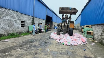Tieu huy lo hang do choi gan 2.000 Baby Three hinh anh