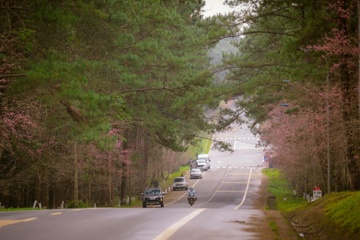 De xuat co che dac thu huy dong von xay san bay Mang Den hinh anh