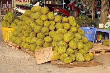Sự thật đằng sau tấm biển '30.000 đồng/kg sầu riêng'