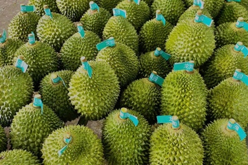 Loi giai cho sau rieng Viet Nam hinh anh