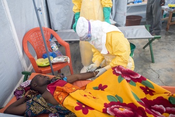 Qua trinh tan pha co the nguoi cua virus Ebola hinh anh