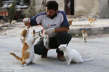 Nguoi mang thit dai meo hoang o Syria hinh anh