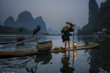 Nghe bat ca bang chim coc hinh anh