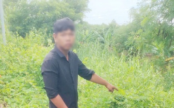 Di tra no, so gia dinh la mang nen bao tin gia bi cuop hinh anh
