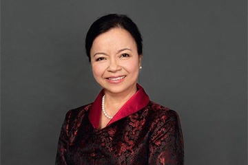 Nhung dai gia Viet tung mac ao linh hinh anh
