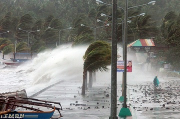 So GD Ha Noi, Nam Dinh gui cong dien khan chong bao Haiyan hinh anh