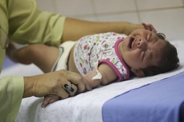 Virus Zika tai Viet Nam khong giong o My Latinh hinh anh