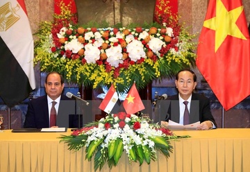Chu tich nuoc Tran Dai Quang hoi dam voi tong thong Ai Cap hinh anh