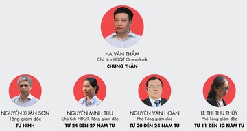 VKS khong de nghi giam an cho Ha Van Tham, Nguyen Xuan Son hinh anh